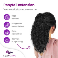 Ponytail Extensions Zwart 45 cm