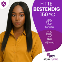 Pre order Luxury Black Wig Front Lace Wig - Straight - 60-65 cm