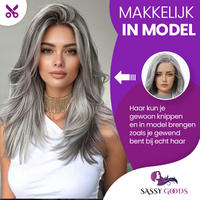 Luxe Front Lace Lace Wig Grijs 50 cm