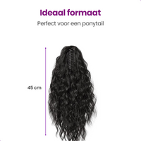 Ponytail Extensions Zwart 45 cm