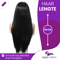 Luxe Zwarte Front Lace Wig Steil