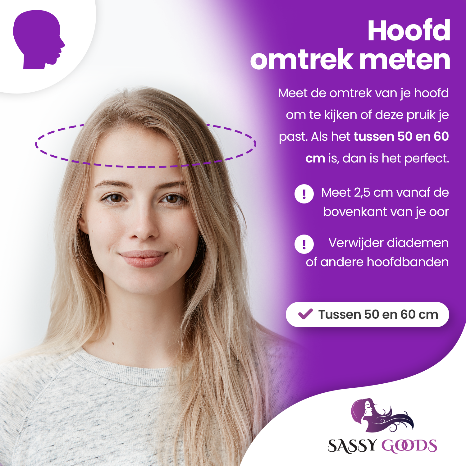 As Ombre Pruik - Pruiken Dames Kort Haar - Wig - Zilver Grijs - 30 cm